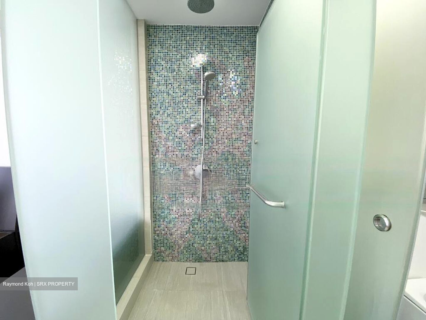 Sant Ritz (D13), Condominium #473777991